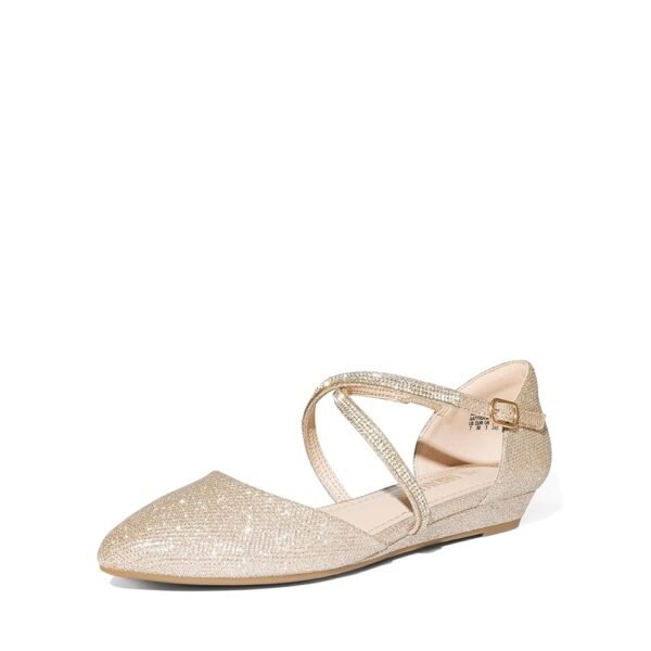 DREAM PAIRS Pointed Toe Low Wedge Heeled Ankle Strap Flats Shoes for Women Dressy Comfortable, Casual Slip-on Dress Shoes for Business Office and Work