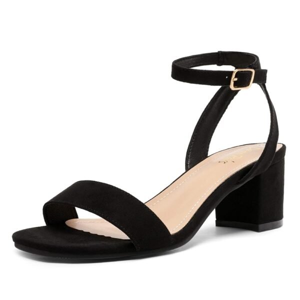 DREAM PAIRS Women's Open Toe Ankle Strap Low Block Chunky Heels Sandals Party Dress Pumps Shoes
